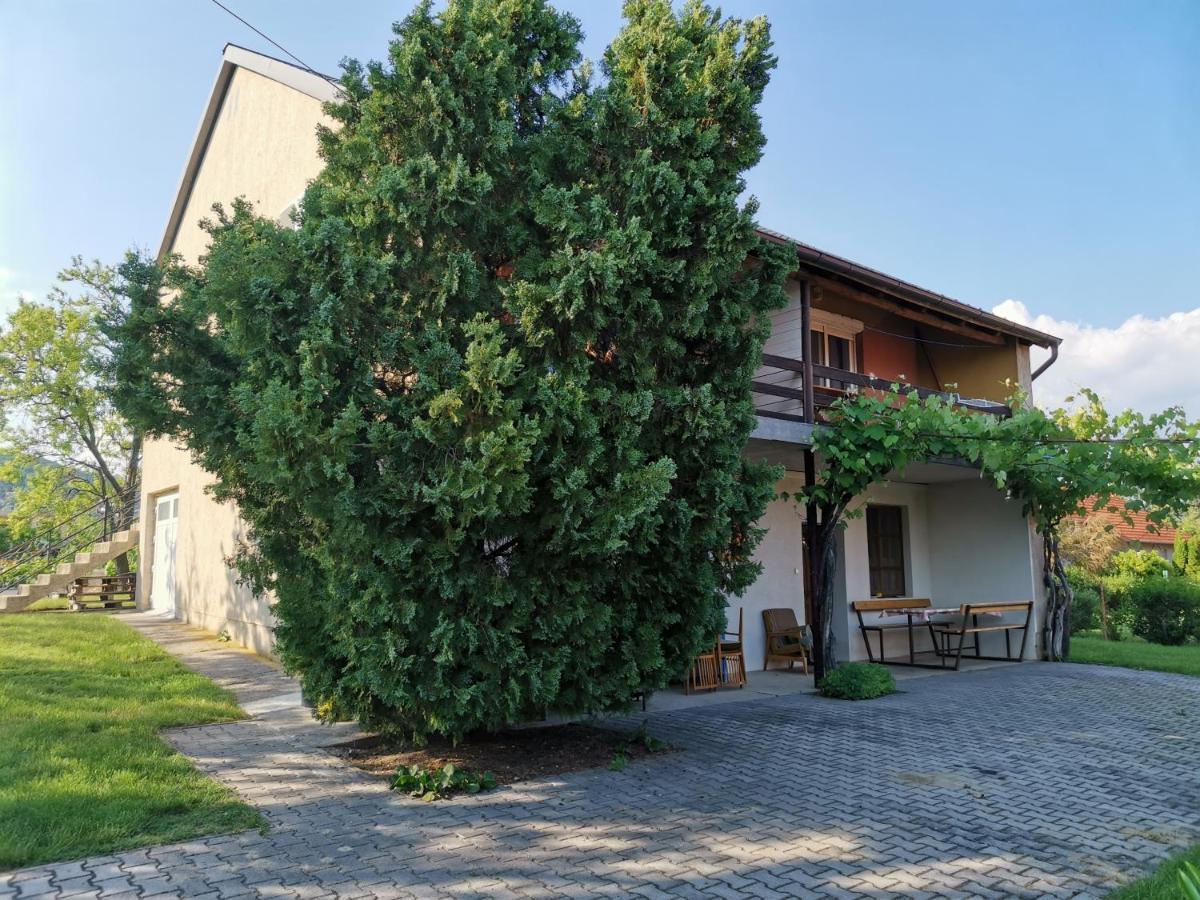 Eva Apartmanhaz Apartment Csopak